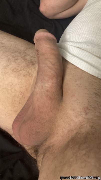 Photo of a weasel from jimes104