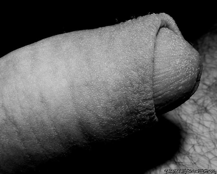 Photo of a cavalier from calientearg