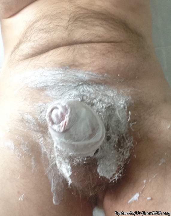Too much fun playing - my bush is safe for now