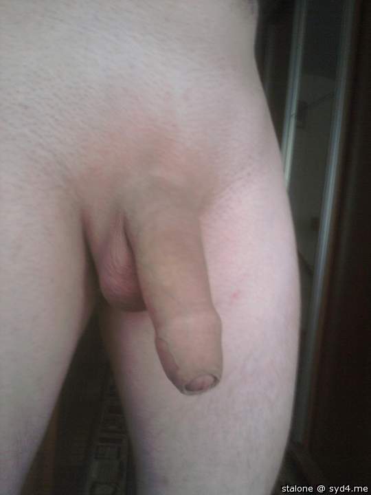 Photo of a middle leg from stalone