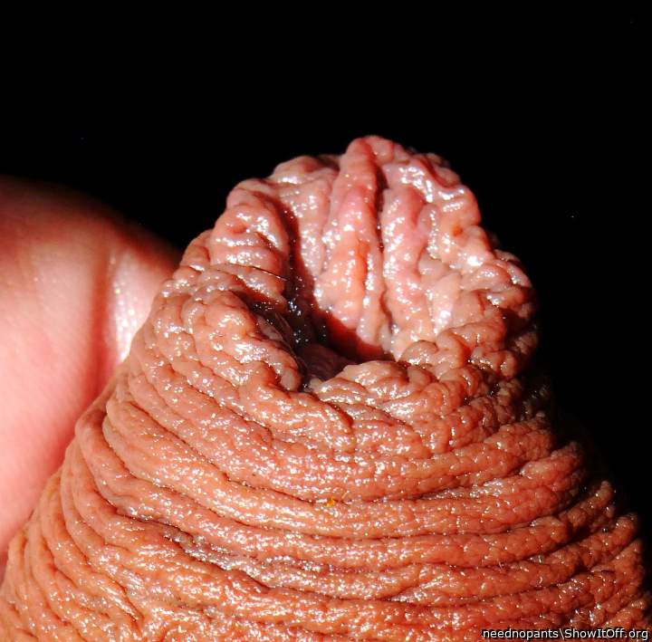 Photo of a bald-headed mouse from neednopants