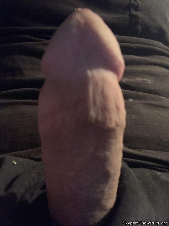 Photo of a middle leg from Skyper