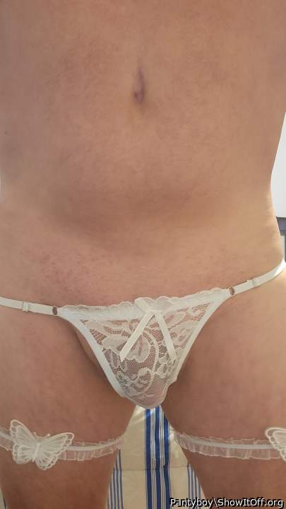 Photo of a tool from Pantyboy