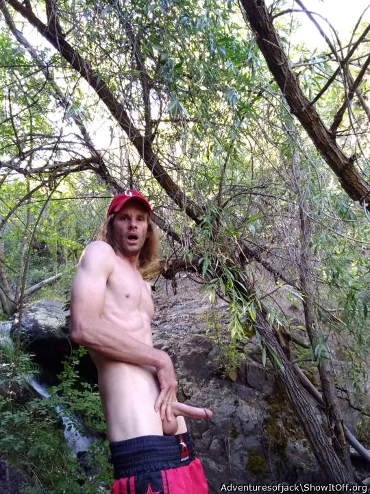 Photo of a cock from Adventuresofjack