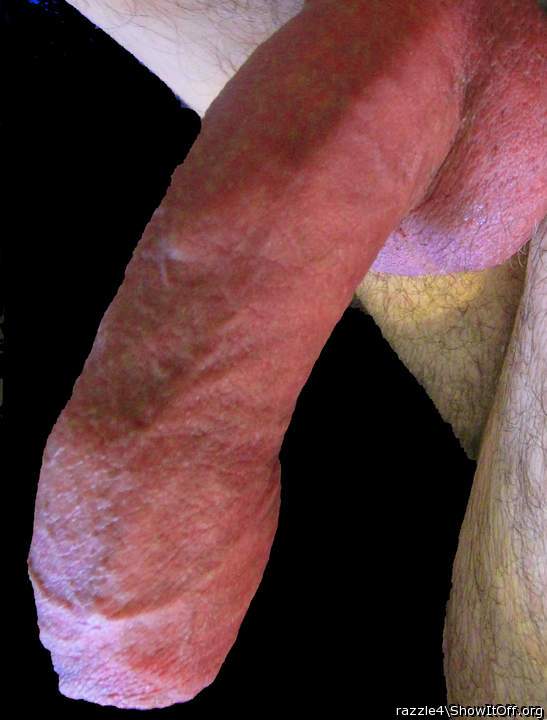 Photo of a bat from razzle4