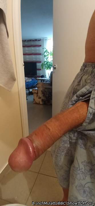 Photo of a dong from 8-inchMulattoBBC