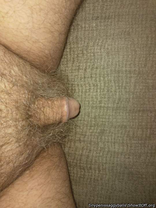 Photo of a cock from tinypenissaggyballs