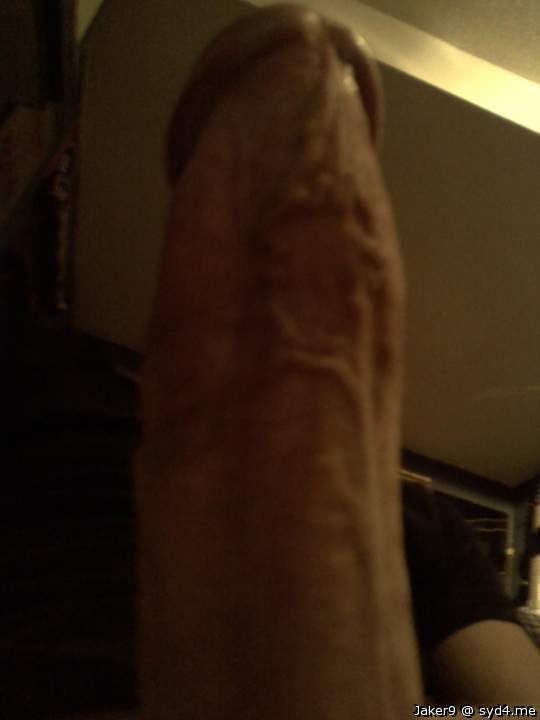 Photo of a weasel from Jaker9