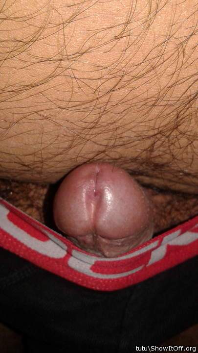 Photo of a horn from tutu