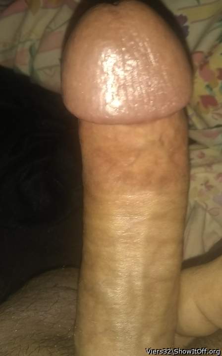 Photo of a cock from Viers32