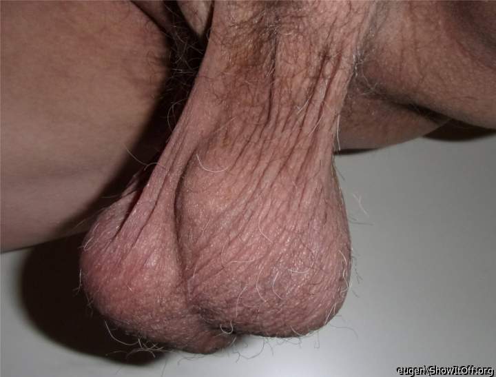Testicles Photo from eugen