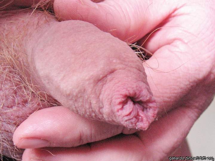 Here is my dick