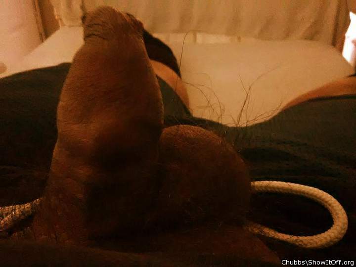 Photo of a schlong from Chubbs