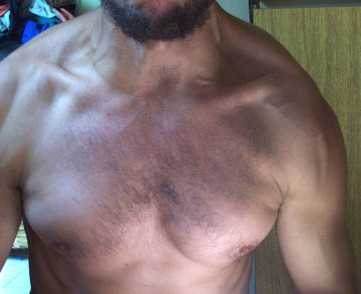 pecs of steel