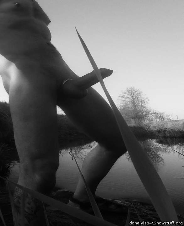 River Art Hard Cock