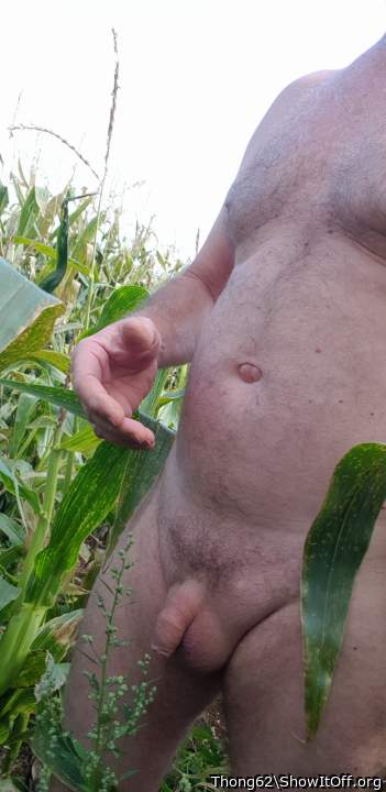 Photo of a private part from Thong62