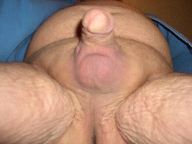 Photo of a cock from mayiwatch