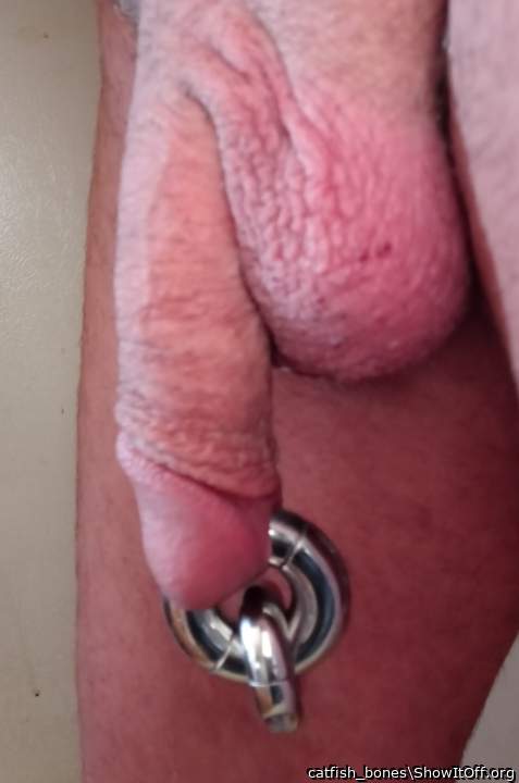 Photo of a stiffie from catfish_bones