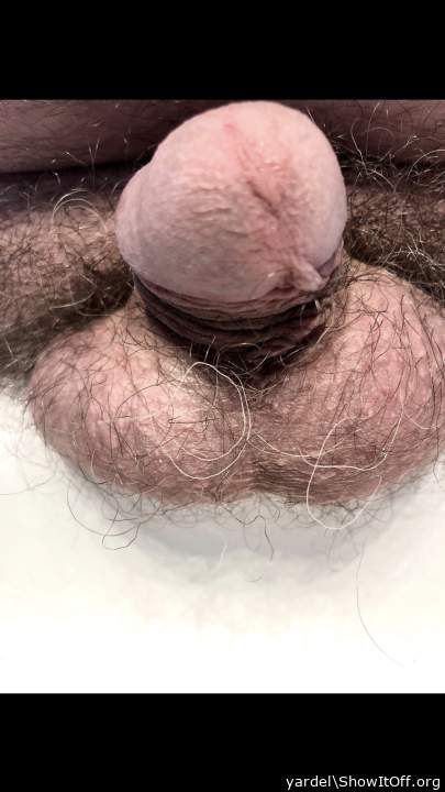 Photo of a phallus from yardel