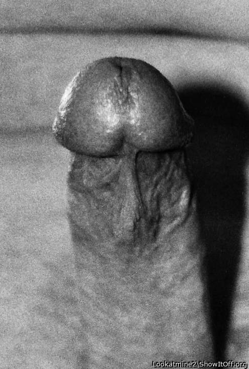 Frenulum