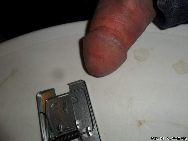 Photo of a dong from forcbt