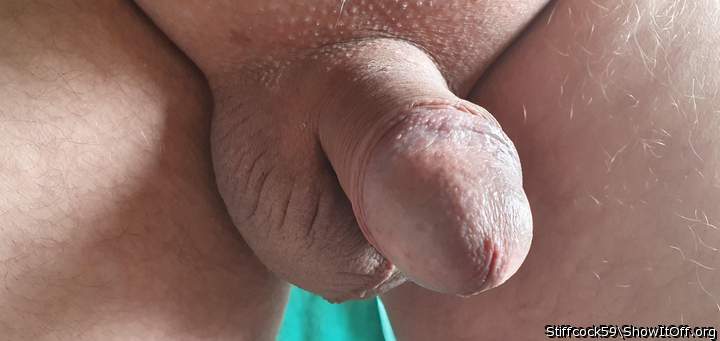Photo of a pecker from Stiffcock59