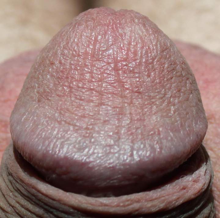 dickhead waiting for a warm mouth