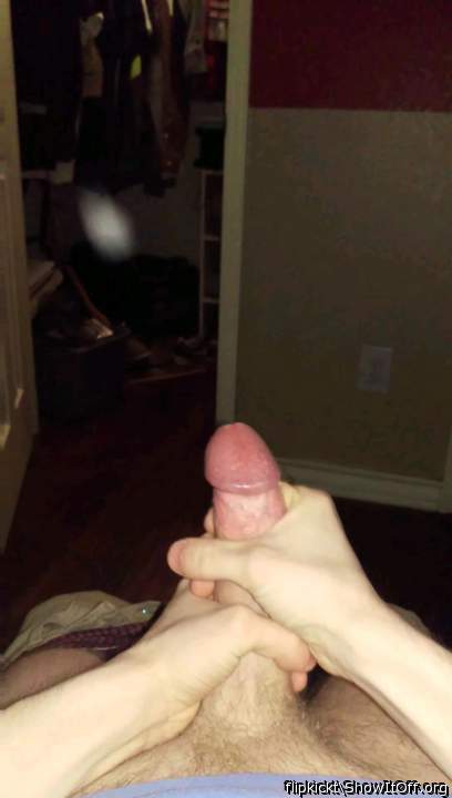 Photo of a snake from flipkickt