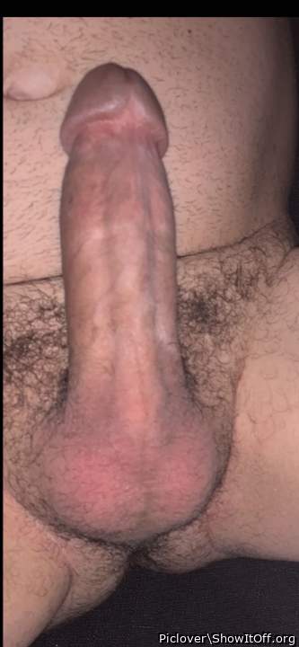 Nice boned up cock man!   
