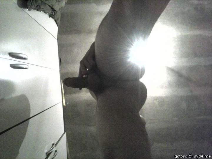 Photo of a pocket rocket from gatoso