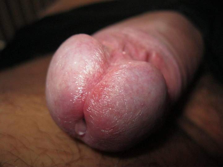 drop of precum