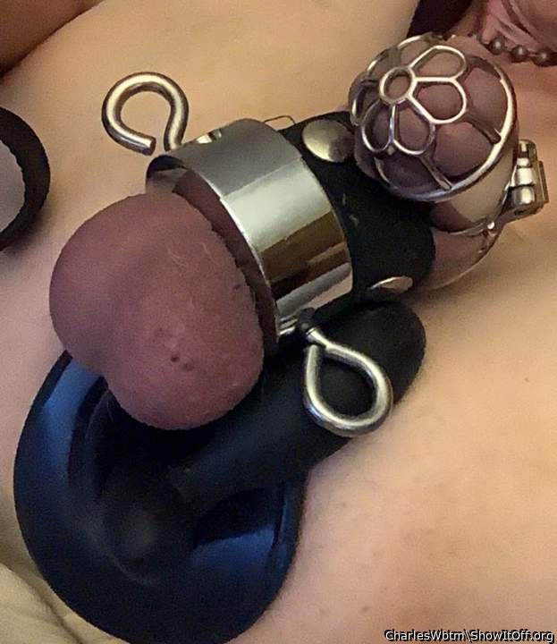 Caged dick spread out hole stuffed with my edge stimulator