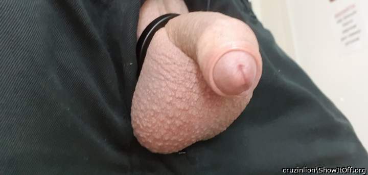 Little uncut friend with a new ring on