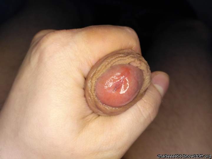 Photo of a bald-headed mouse from charlieee456