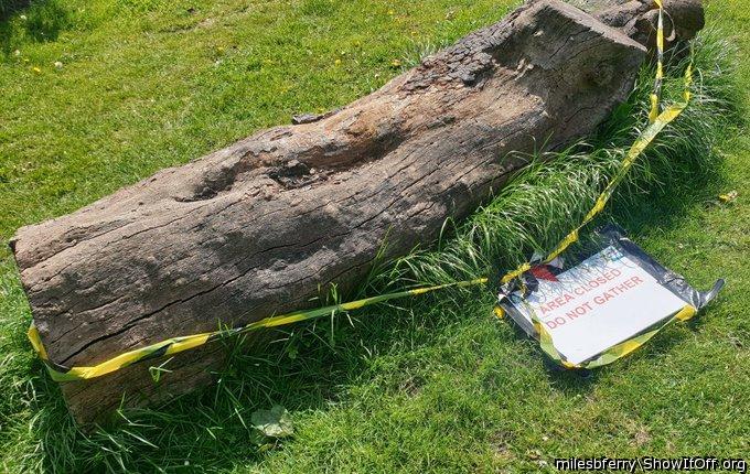 Plod Have Taped Off This Country Bench