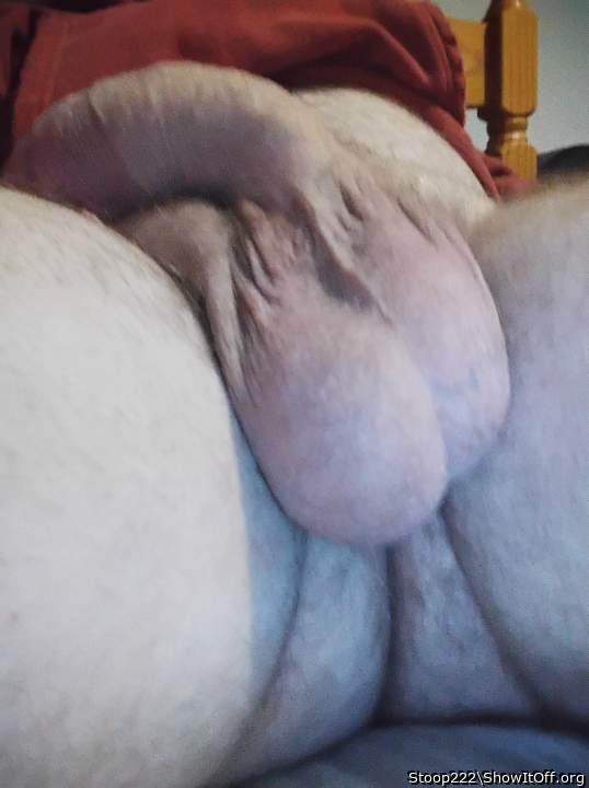 Photo of a snake from Stoop222