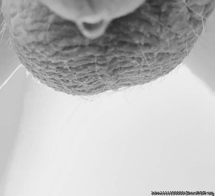 Testicles Photo from John1111199999
