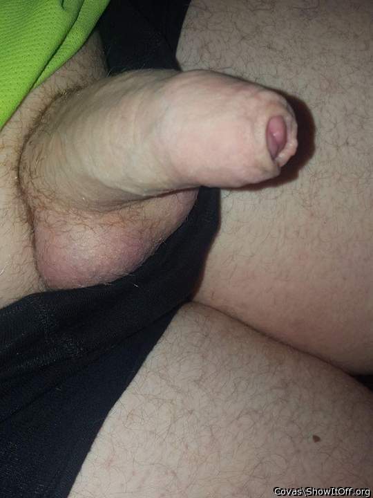 sch�ner dicker Schwanz 