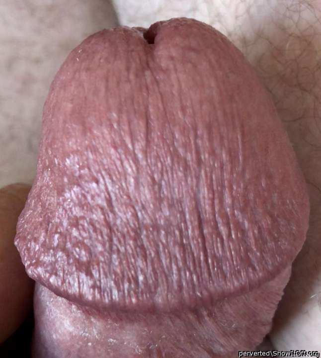 pretty cock head 