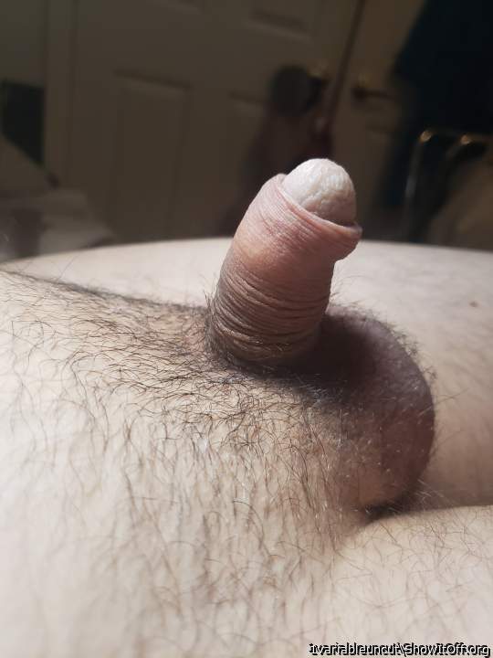 i love your little penis 