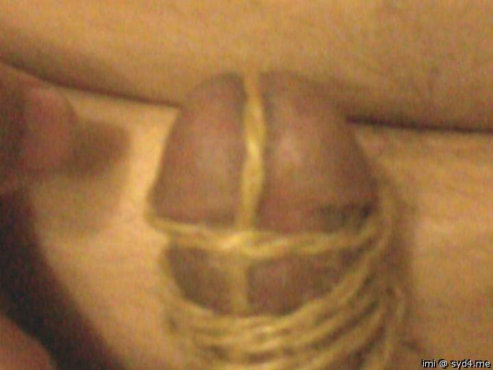 Photo of a snake from imi