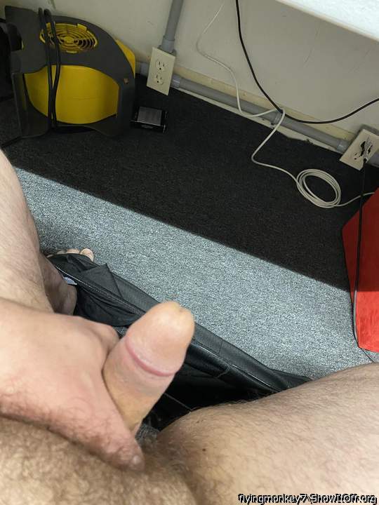 Photo of a ram rod from flyingmonkey7
