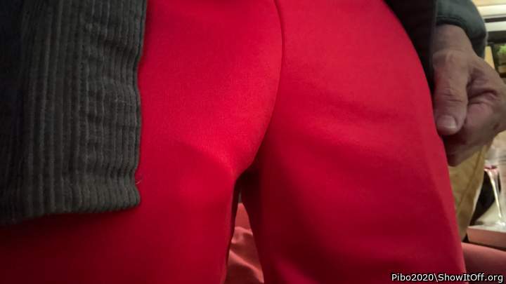 Photo of a short leg from Pibo2020