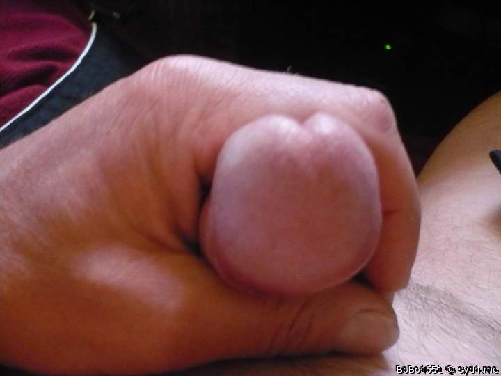 Photo of a cock from BoBo4651