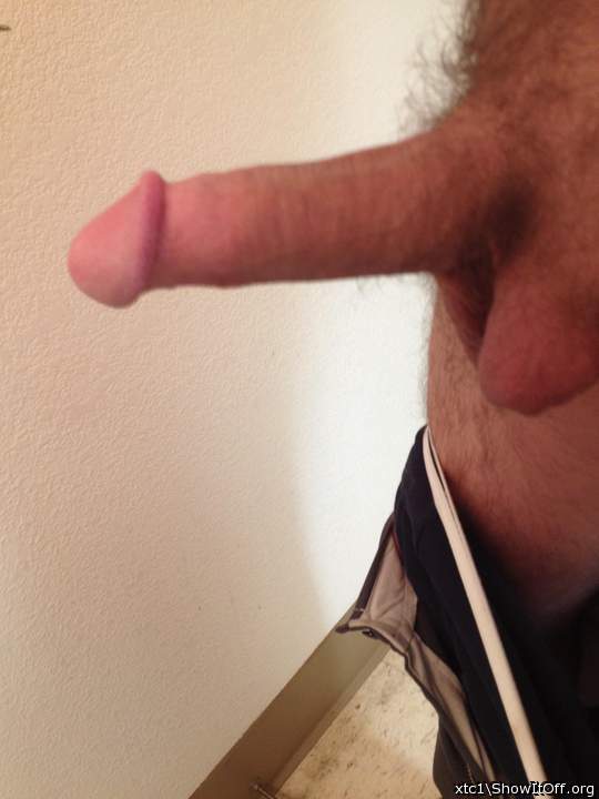 Very nice view. I like your bush and head.