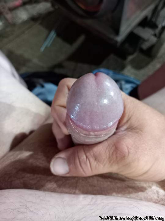 Photo of a penis from Rob1988farmboy