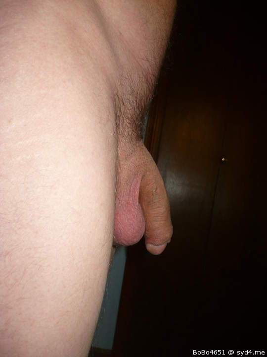 Photo of a hot dog from BoBo4651