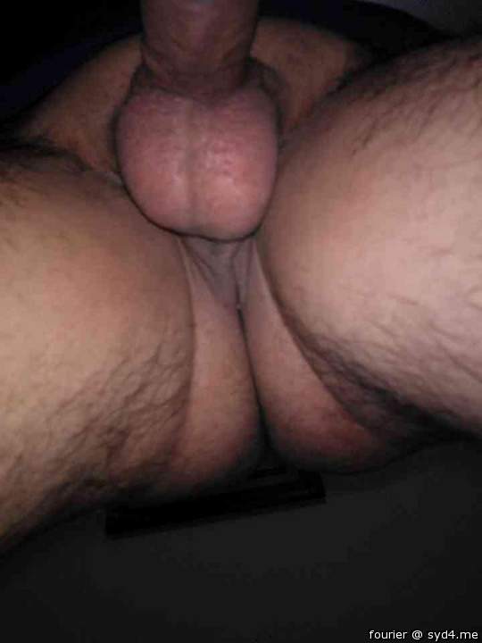 Testicles Photo from fourier