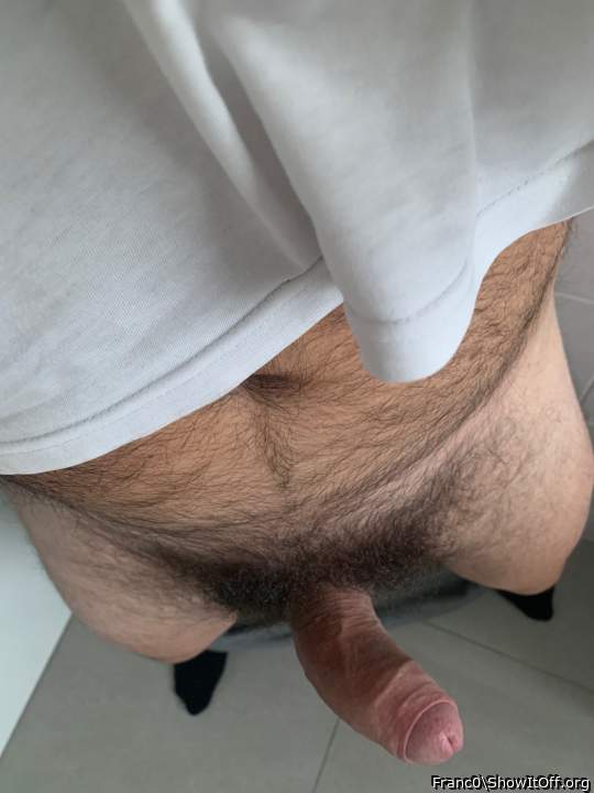 Photo of a bat from Franc0