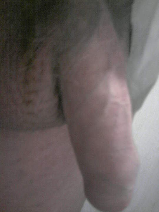Photo of a sausage from StevieD